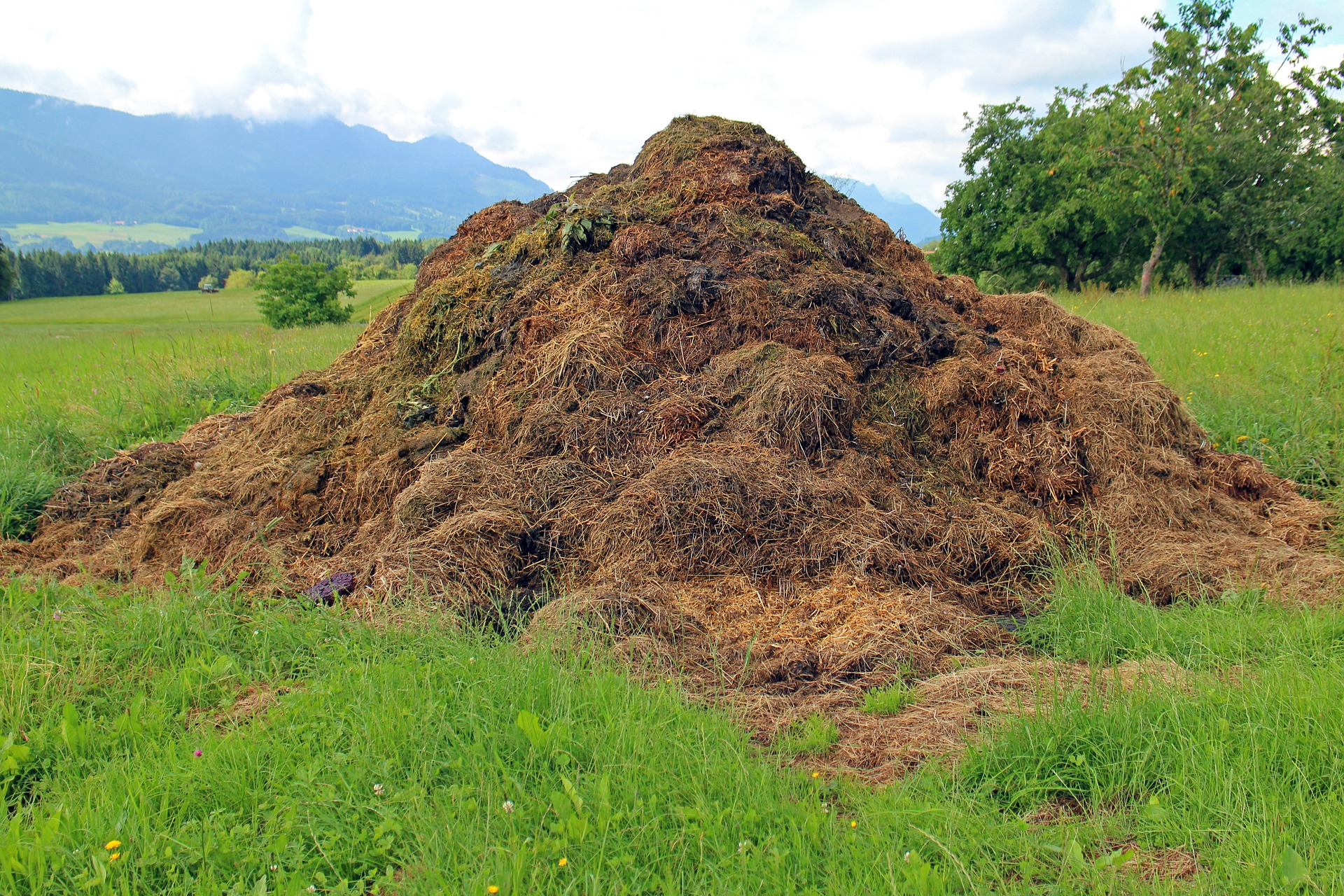 dung compost heap assembly point biochar blog