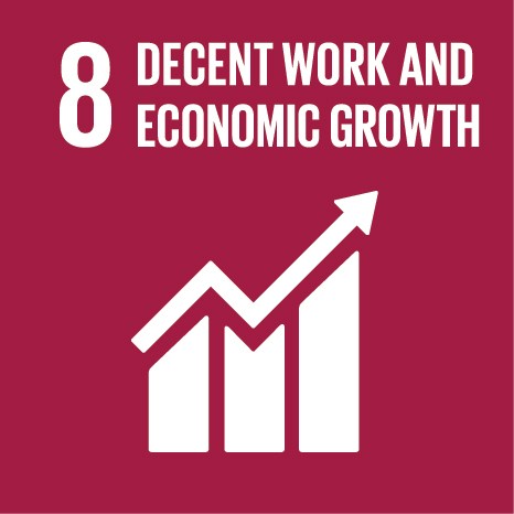 UN Sustainable Development Goals (SDGs) 08