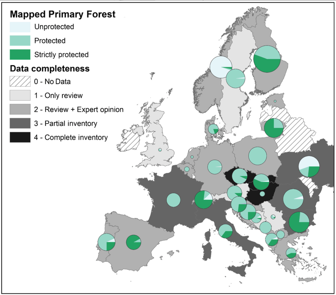Image: Country‐wise completeness of primary forest data and proportion of primary forest under strict protection (IUCN category I), included in protected areas having other IUCN categories or unprotected (figure 2).