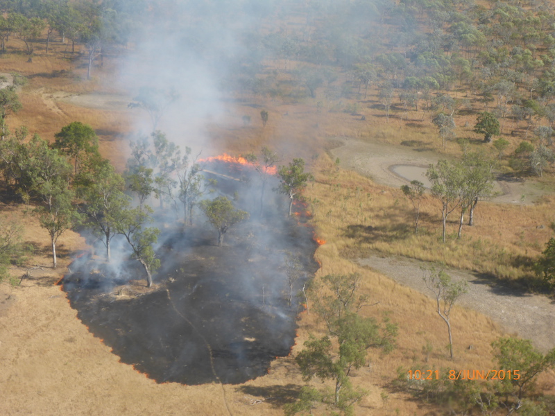 Pormpuraaw burn savana