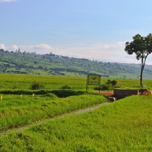 2099-rwanda-boreholes-photo-6.jpg