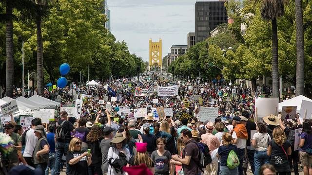 March for Science: Why Carbon Offsets are Good Science