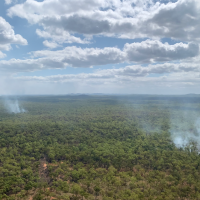 Burning bright: cultivating Australia's unique ecosystems through strategic savanna burning