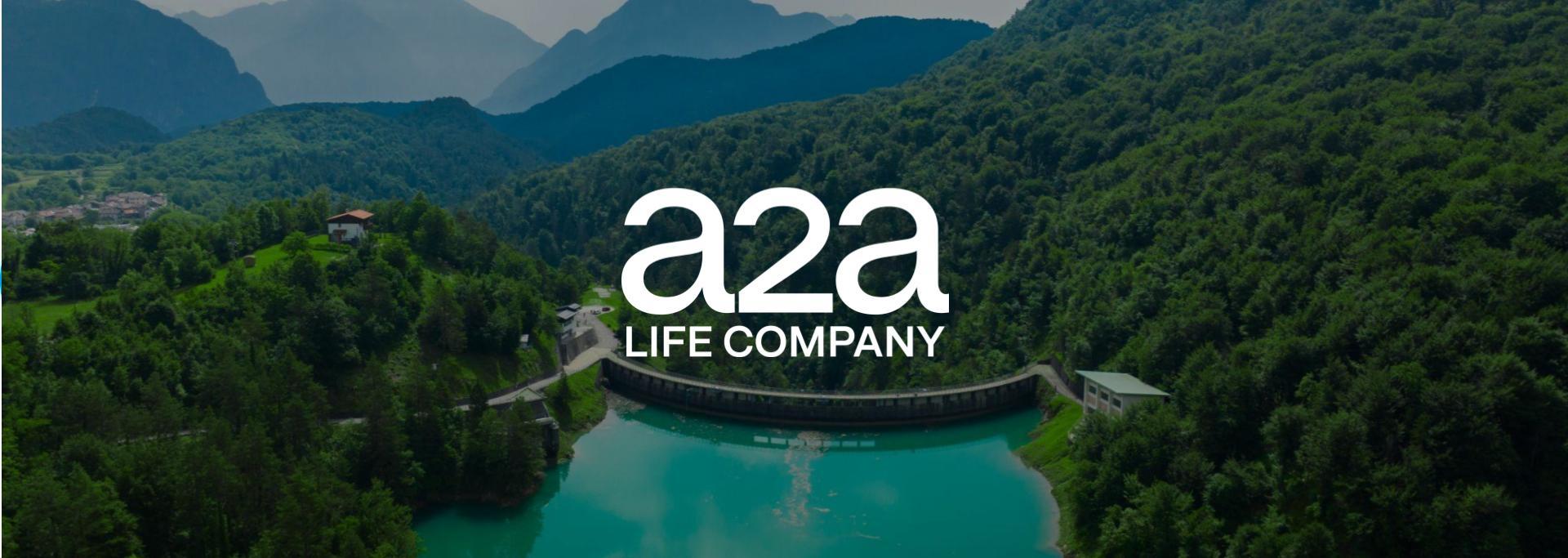 a2a life company case study