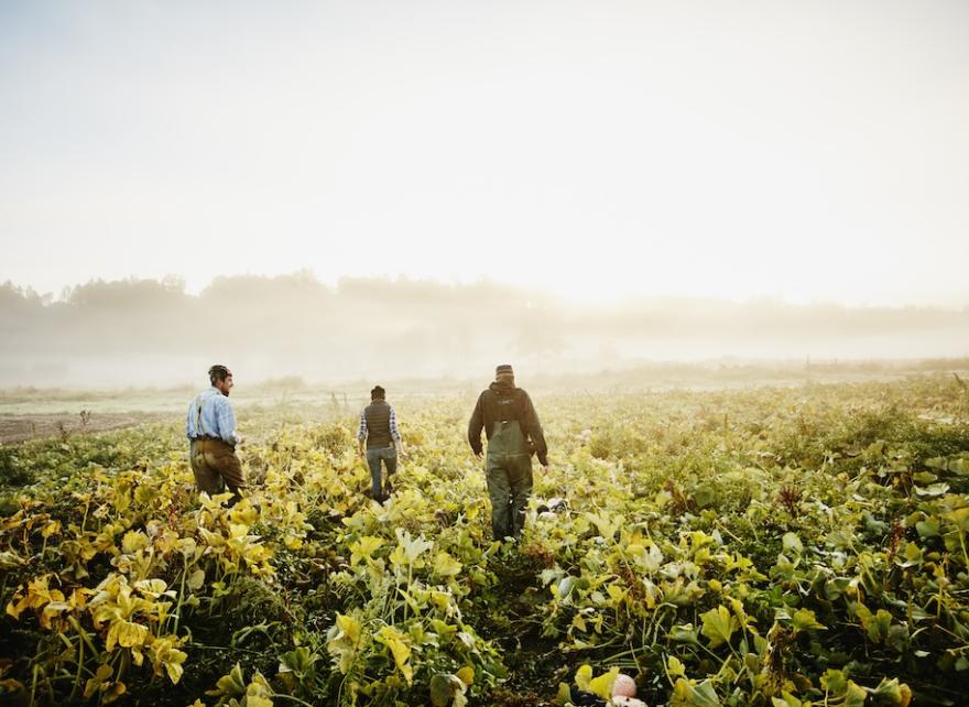 Assessing climate risk and resilience