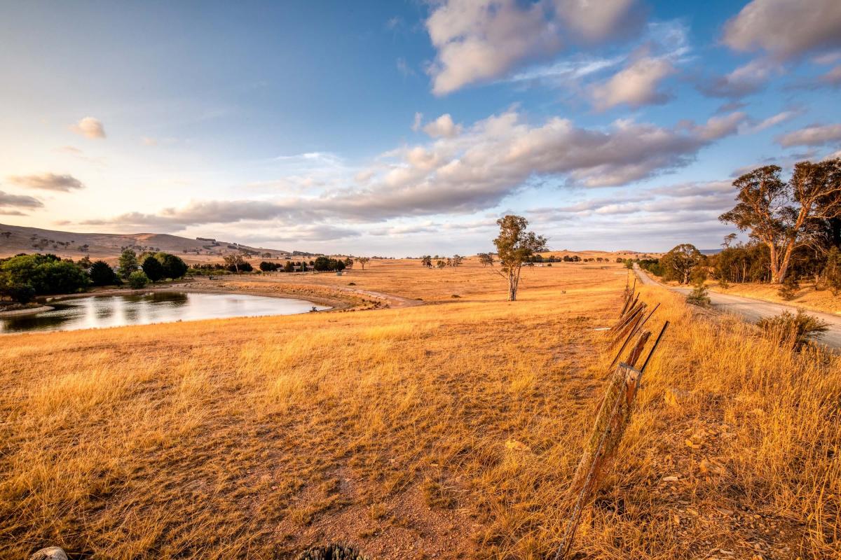 Develop your land into a carbon project, or bring the ACCUs you already generate to market.