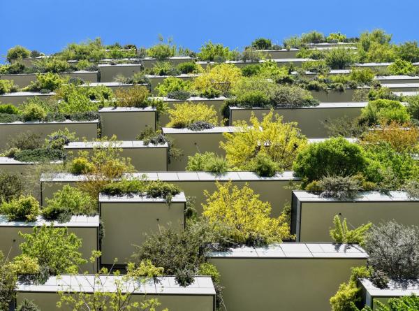 Article 6 : Promouvoir la coop&eacute;ration internationale et la r&eacute;duction des &eacute;missions