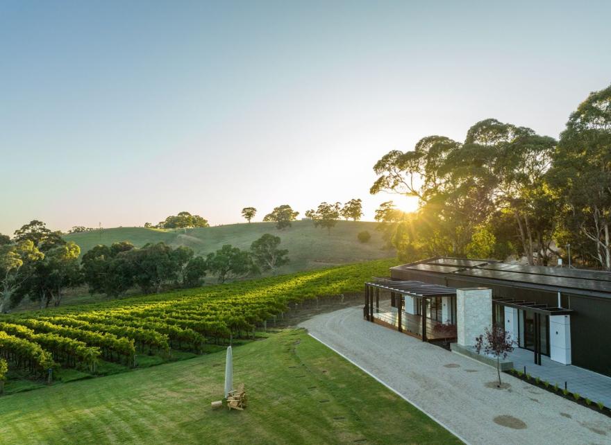 Measuring progress through year-on-year analysis