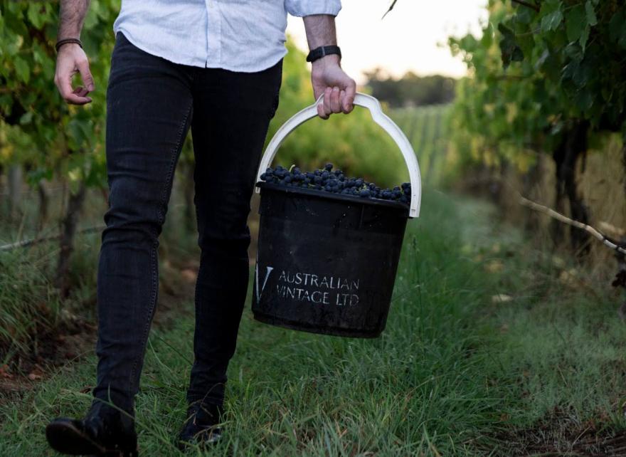 Empowering a sustainable viticulture future