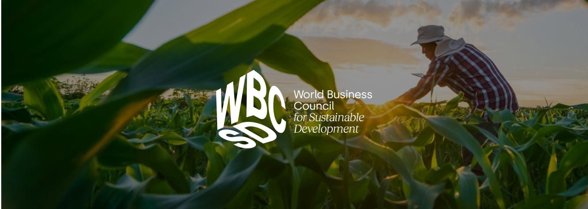 Case Study WBCSD