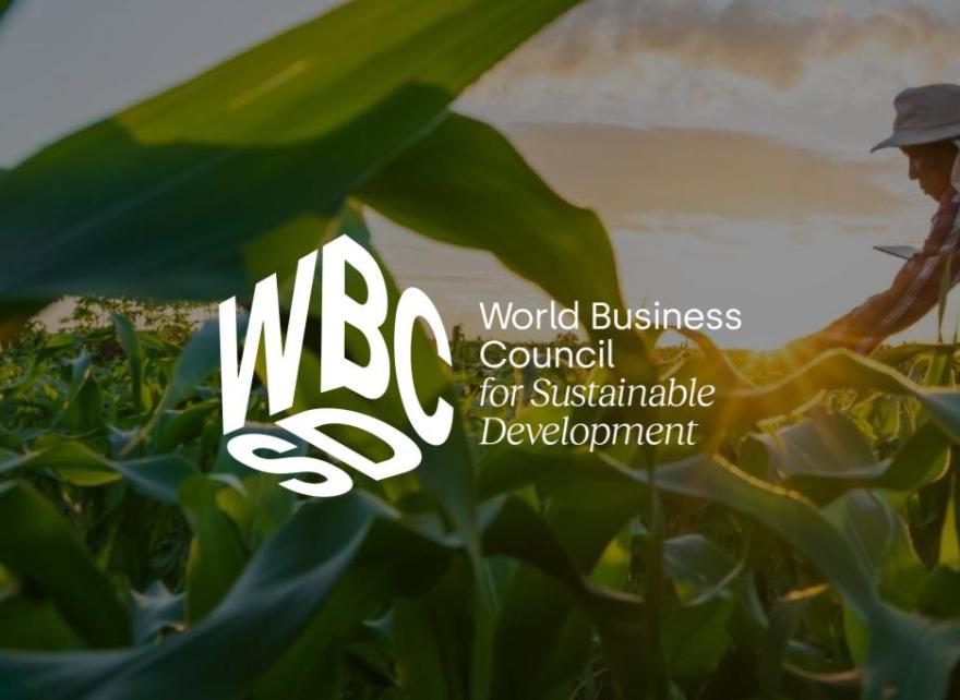 Developing a reward guidance for farmers in corporate Scope 3 reductions with WBCSD