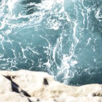 Become Climate Neutral