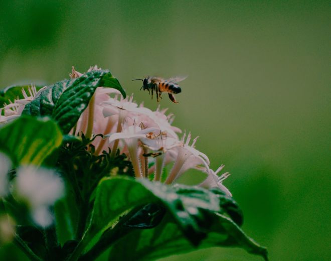 Foro de L&iacute;deres de Biodiversidad - Colombia
