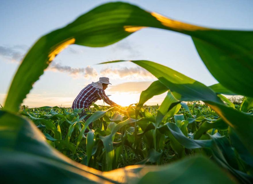 4. Action for positive impact.