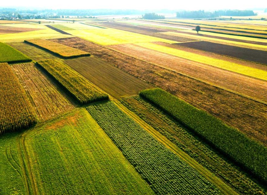 Build resilience across your value chain