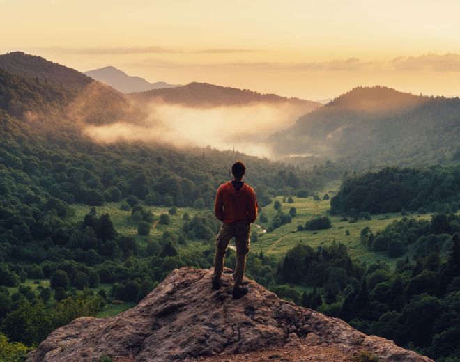 Carbon Markets: Where are we in 2026?