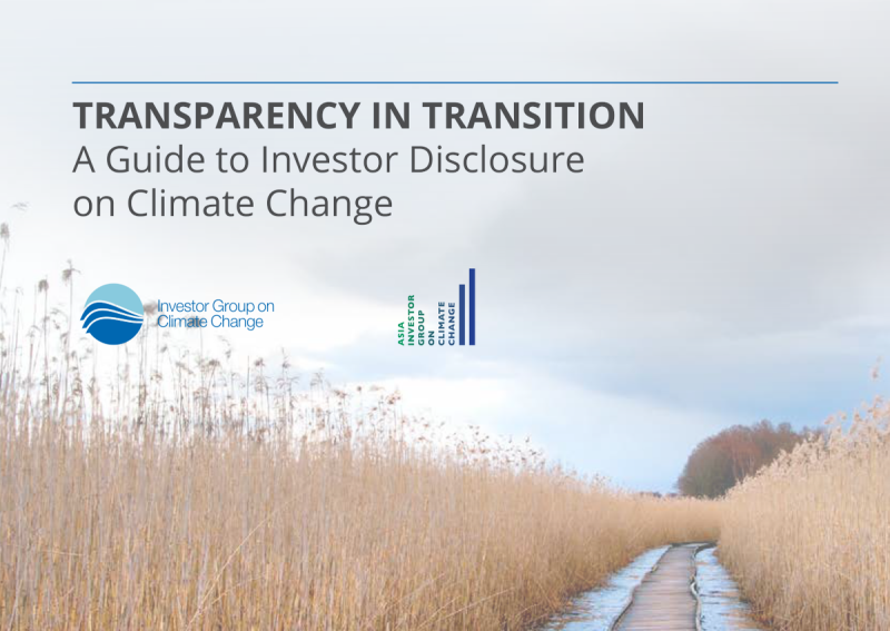 Transparency in Transition report guides climate-smart investors