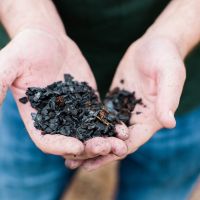 Removing carbon with biochar: how you can get involved in a cutting-edge removal project