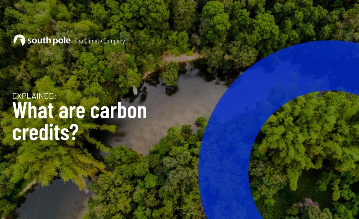 What are carbon credits?