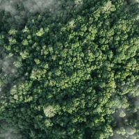 Klimaschutz finanzieren und CO2-Zertifikate kaufen