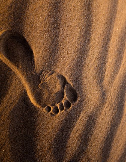 carbon-footprinting.jpg