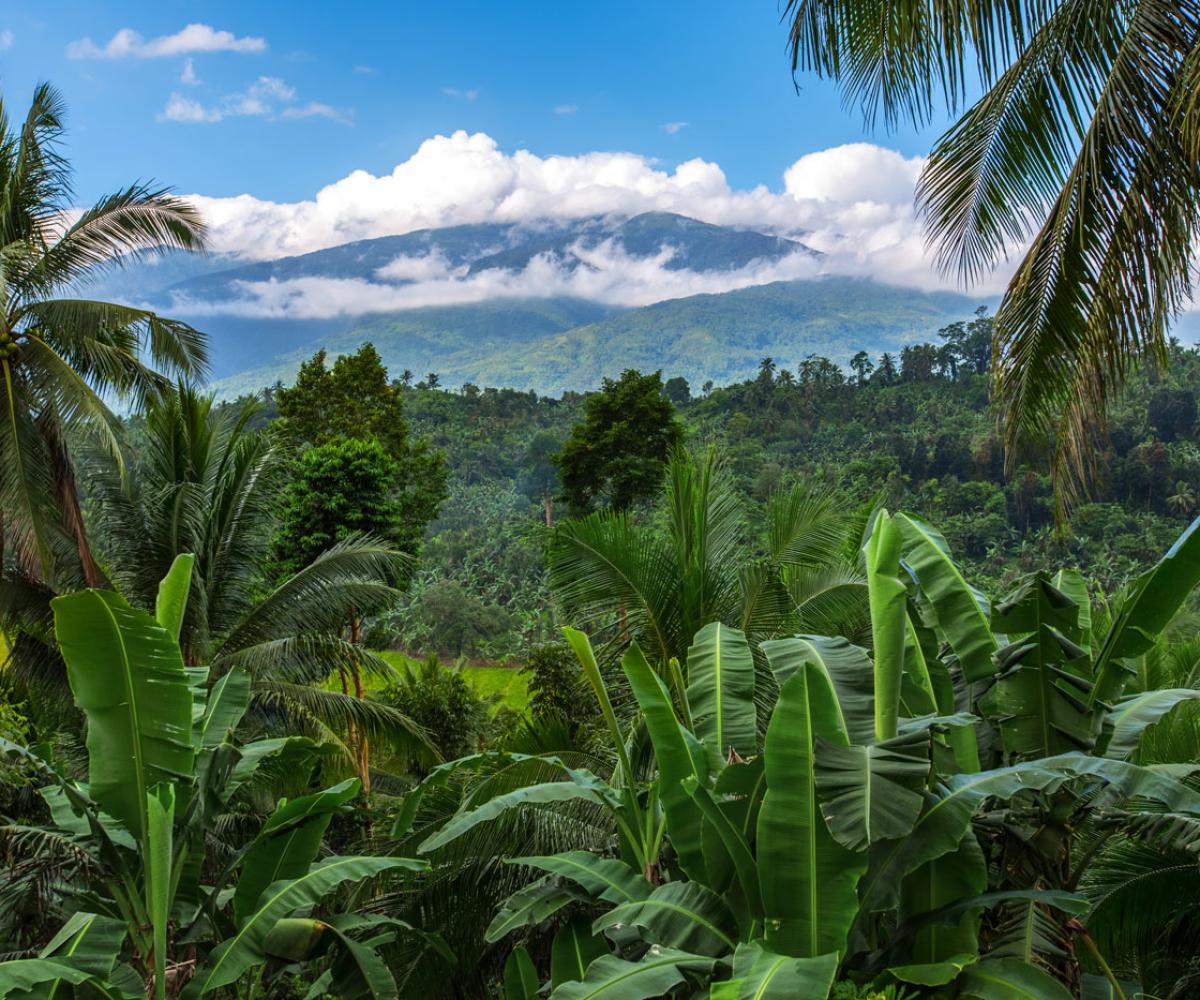Scaling verifiable carbon impact in challenging markets