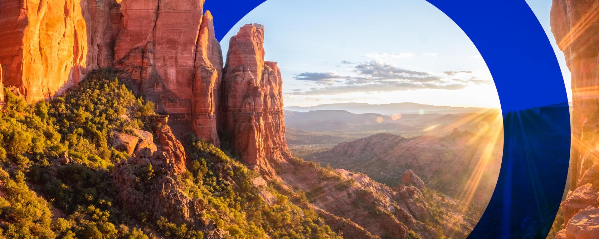 South Pole appoints Chief Product & GtM Officer and strengthens operating model to scale in global carbon markets