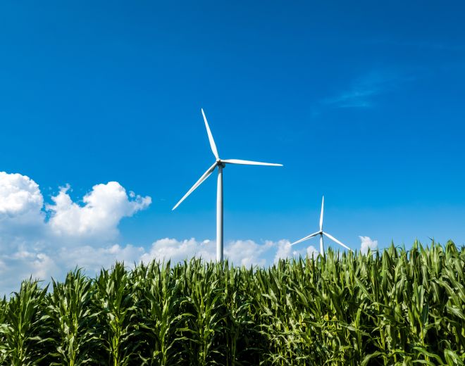 Offre REPowering : décarbonez votre chaîne de valeur en adoptant un approvisionnement en énergie renouvelable