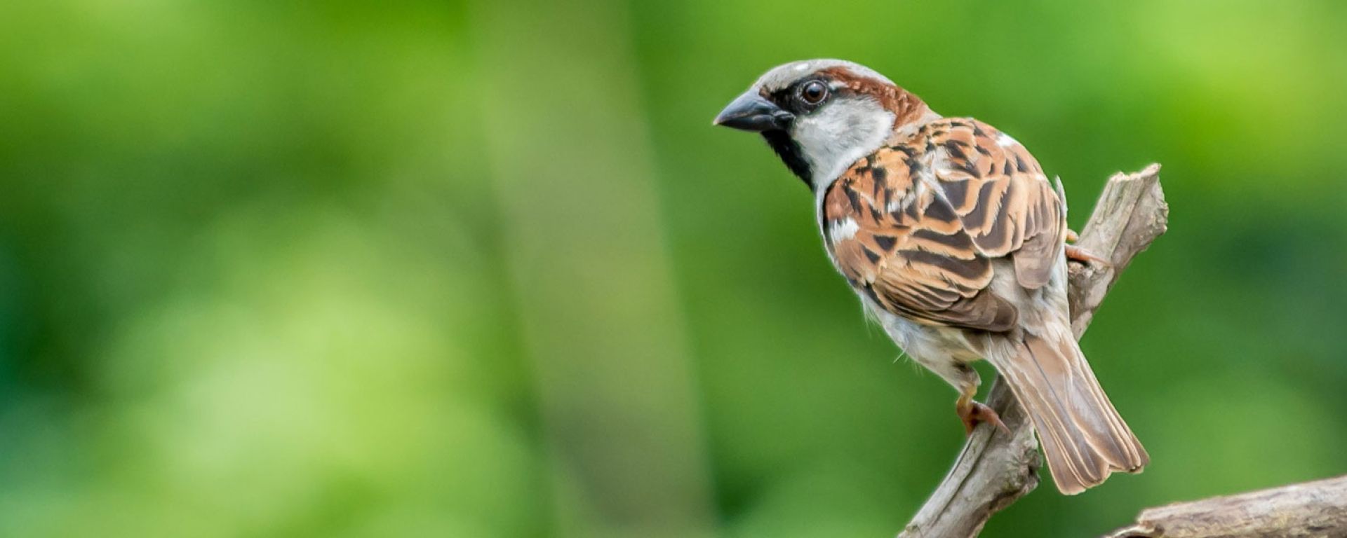 Climate_Opportunities_and_Innovations