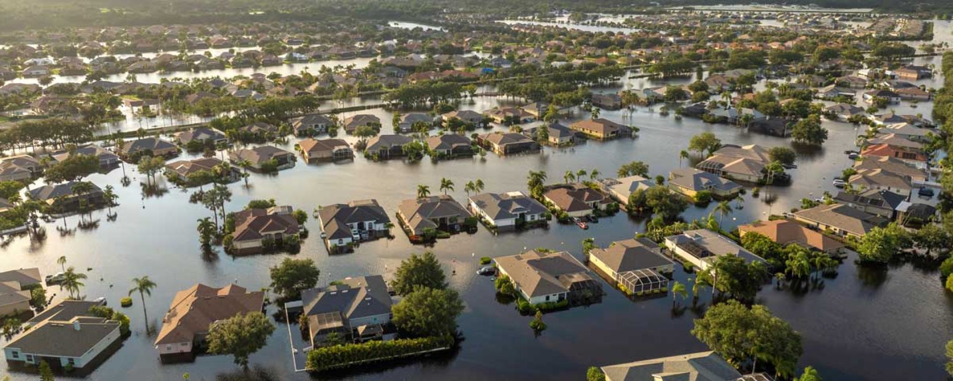 Companies either weather climate risk now or pay for it later