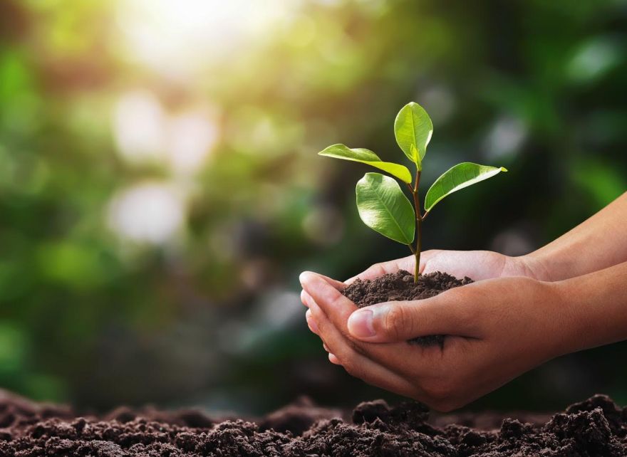 Comprehensive screening of climate risks and opportunities