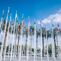 Climate talks: Unpacking COP28 and the State of Climate Action in 2024