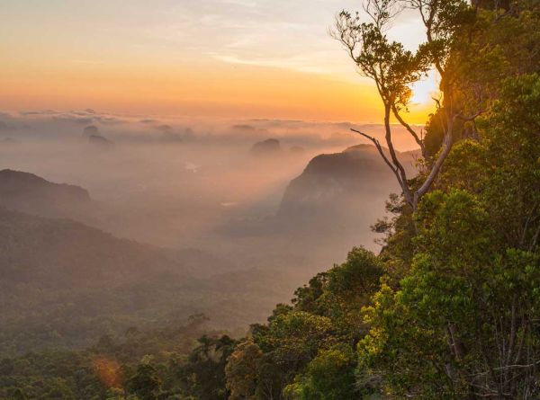 Physical climate and transition risks