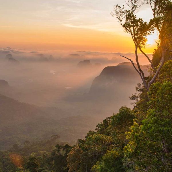 Want to learn more about South Pole’s Quality Management Approach?