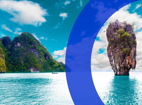 2026 Carbon Market Buyer&rsquo;s Guide