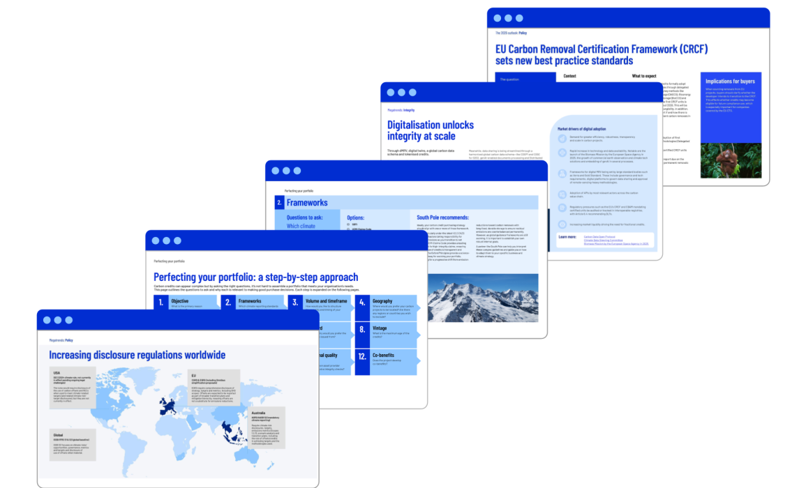 The importance of the carbon market