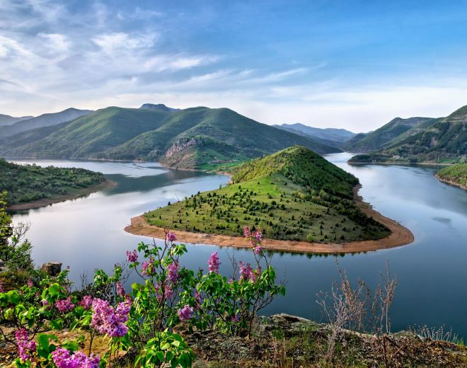 2026 Carbon Market Forum