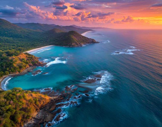 March&eacute;s du carbone : o&ugrave; en est-on en 2026 ?