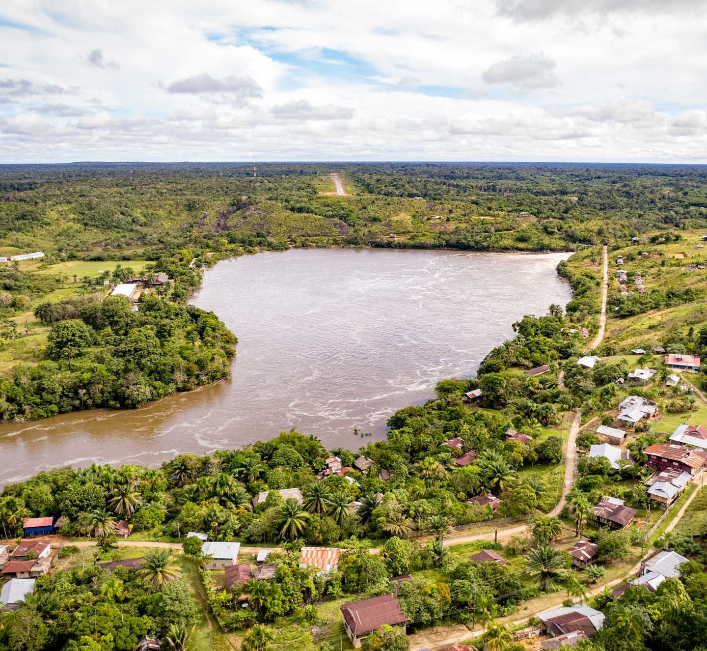 The flight to quality: Carbon market trends and insights for buyers