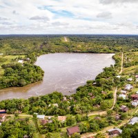 The flight to quality: Carbon market trends and insights for buyers