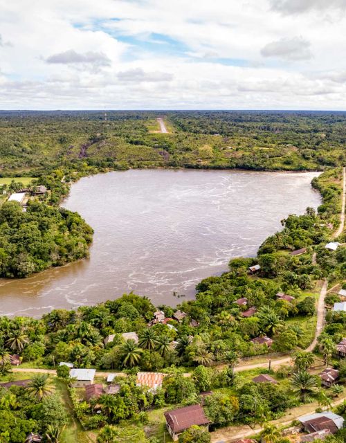 The flight to quality: Carbon market trends and insights for buyers