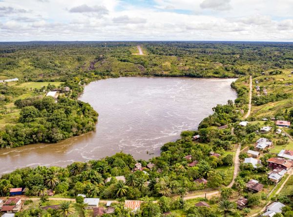 The flight to quality: Carbon market trends and insights for buyers