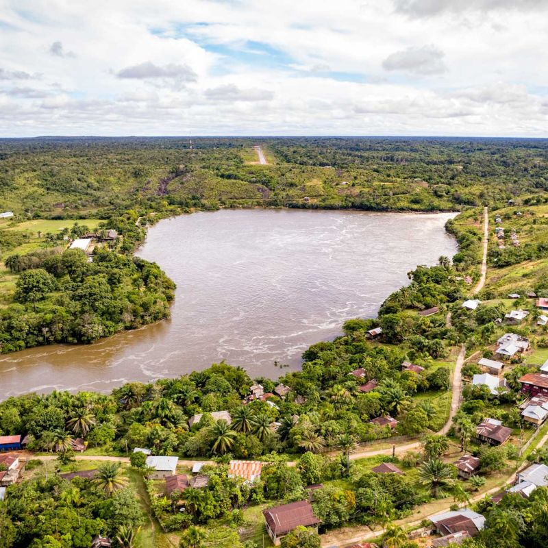 The flight to quality: Carbon market trends and insights for buyers