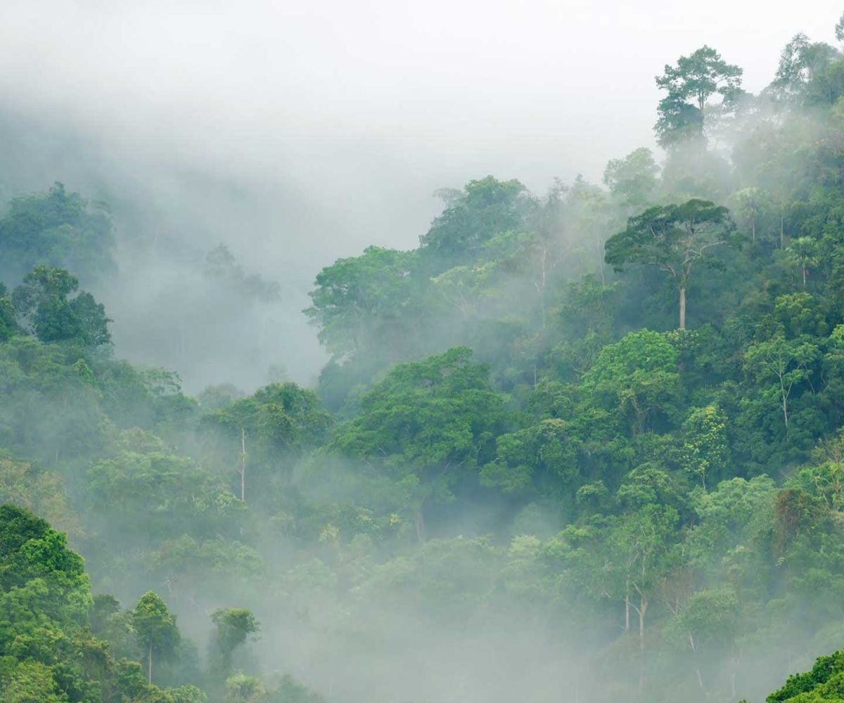 COP30 marks the turning point for global climate action