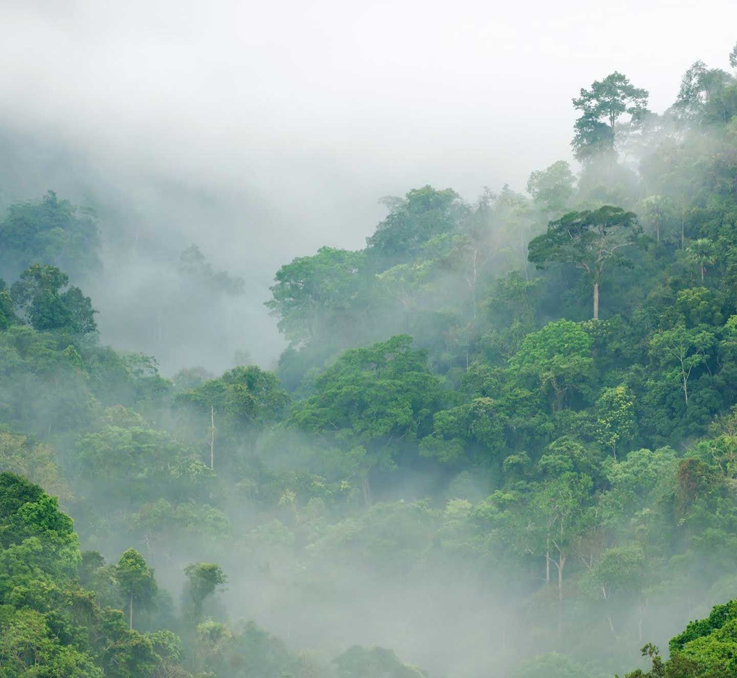 COP30 marks the turning point for global climate action