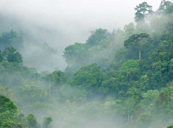 COP30 marks the turning point for global climate action