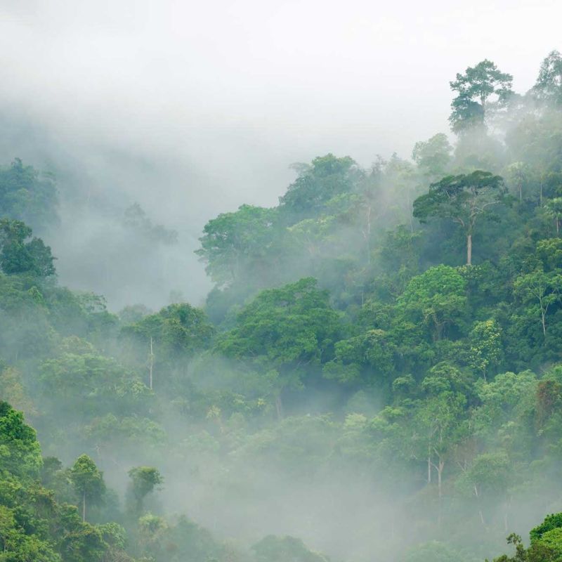 COP30 marks the turning point for global climate action