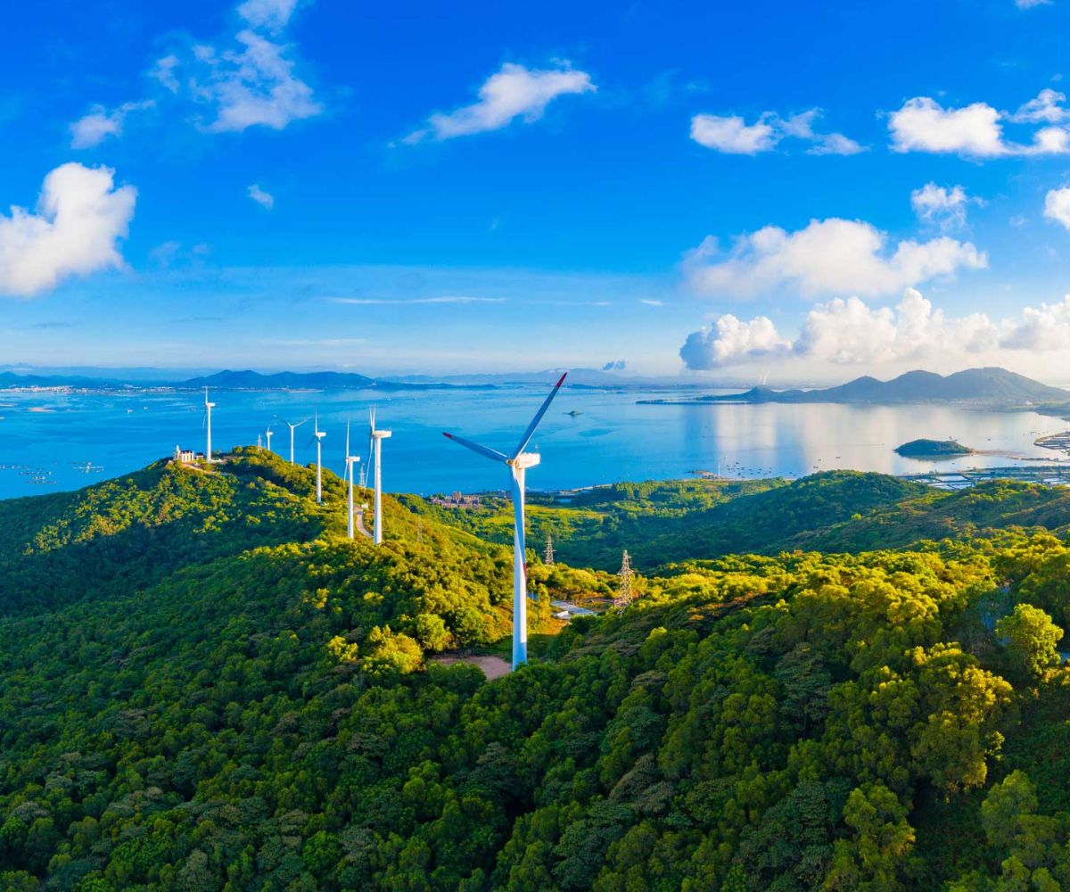 The new rules of renewable energy: Expert insights on cost, risk and regulation