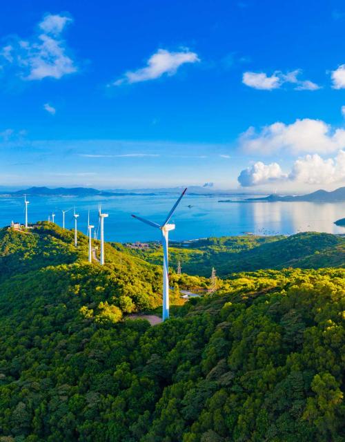 The new rules of renewable energy: Expert insights on cost, risk and regulation