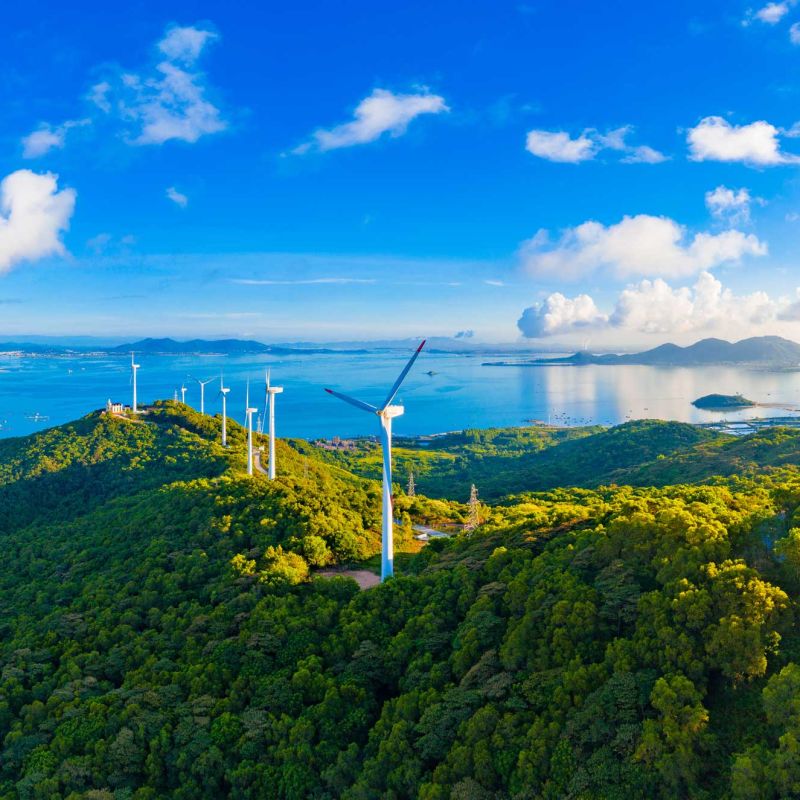 The new rules of renewable energy: Expert insights on cost, risk and regulation